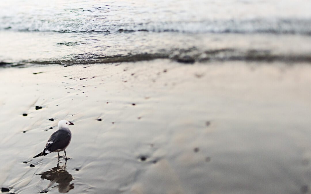 Zašto je biznisu potreban websajt