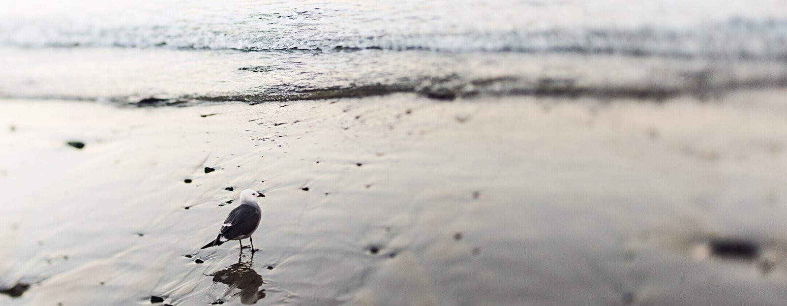 Zašto je biznisu potreban websajt